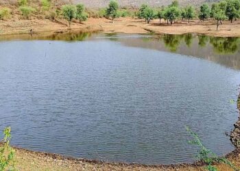 अमृत सरोवर ते जलसंधारण अभियान: सोलापूर जिल्ह्यात पाणी संवर्धनाची चळवळ