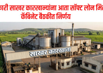 सहकारी साखर कारखान्यांना आता सॉफ्ट लोन मिळणार….कॅबिनेट बैठकीत निर्णय