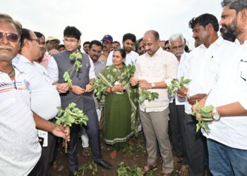 दुष्काळाच्या पार्श्वभूमीवर सोलापूर प्रशासन शेतकऱ्यांच्या बांधावर