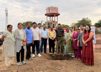 निमा संघटना, हरित धारा ग्रुपकडून बीबी दारफळ येथे वृक्षारोपण