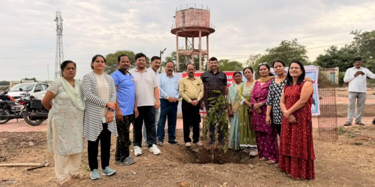 निमा संघटना, हरित धारा ग्रुपकडून बीबी दारफळ येथे वृक्षारोपण