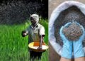२५ सप्टेंबरपासून सोलापुरात खत विक्रीसाठी ‘एफएफएस’ प्रणाली लागू