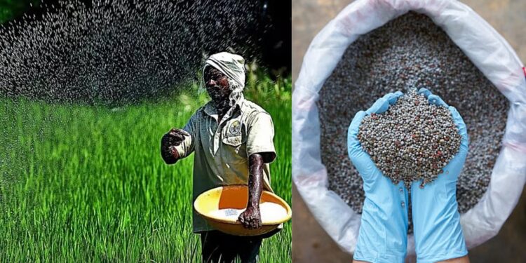 २५ सप्टेंबरपासून सोलापुरात खत विक्रीसाठी ‘एफएफएस’ प्रणाली लागू