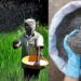 २५ सप्टेंबरपासून सोलापुरात खत विक्रीसाठी ‘एफएफएस’ प्रणाली लागू