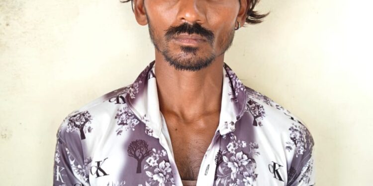 अल्पवयीन मुलीवर लैंगिक अत्याचार करणाऱ्यास १० वर्षे सक्तमजुरीची शिक्षा