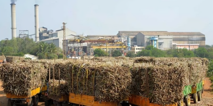 साखर हंगाम १५ ऑक्टोबरपासून सुरू; मंत्री समितीचे राज्यातील कारखान्यांना निर्देश