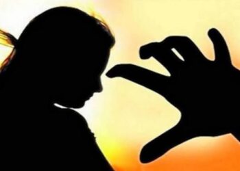 अल्पवयीन मुलीचा विनयभंग; आरोपीला ३ महिन्यांची शिक्षा