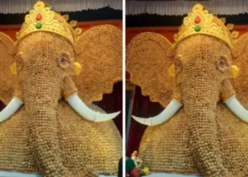 पुण्यात साकारला पाणीपुरीच्या पुऱ्यांचा अनोखा गणपती ..!
