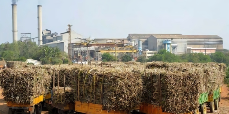 हंगाम लवकर सुरू केल्याने साखर रिकव्हरी कमी; तीन हजारांच्या वर ऊसदर देणे परवडत नसल्याची कारखानदारांची भूमिका!
