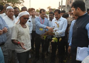 केंद्रीय पथकाकडून सोलापूर जिल्ह्यातील दुष्काळी परिस्थितीची पाहणी
