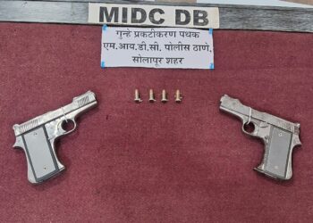 सोलापुरात गावठी पिस्तूल विक्रीचा डाव उधळला ; एकाला अटक; दोन पिस्तुले, चार जिवंत काडतुसे जप्त