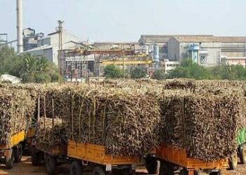 छत्तीसगडमध्ये उसाला प्रतिटन ४,२५० रुपये; दरात ७०० रुपयांची वाढ