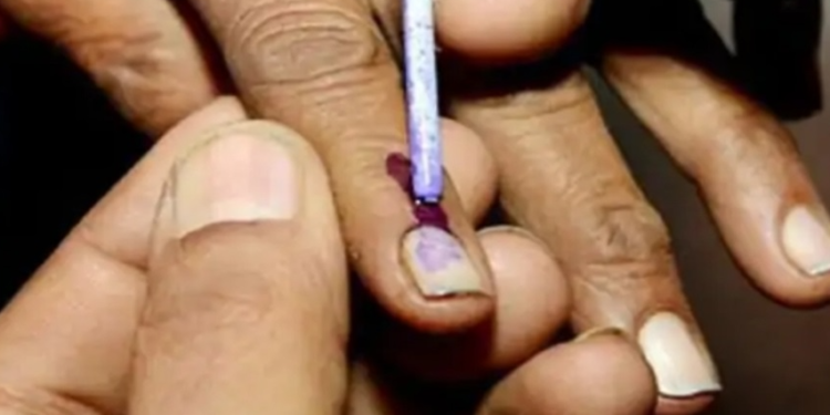 विधान परीषद पदवीधर निवडणूकीत असे करा मतदान